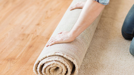 Best Area Rug Cleaning Services - Ever Stream Carpet LLC
