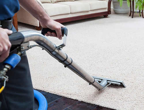 We choose to use only GREEN carpet cleaning methods