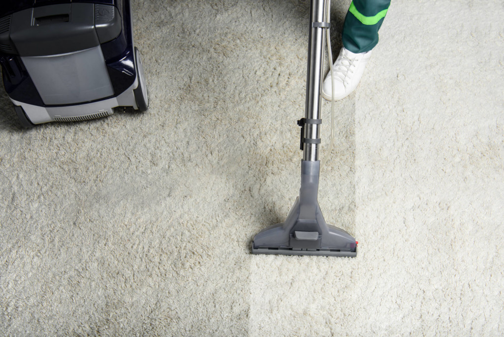 expert performs carpet cleaning in Palm Beach Gardens