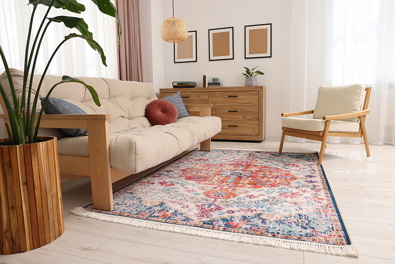 Area rug cleaning services